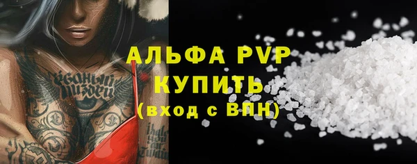 прущие грибы Верея