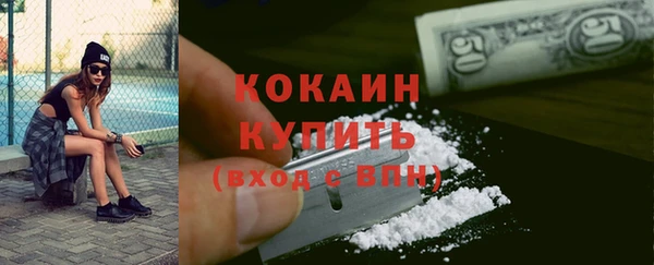 прущие грибы Верея