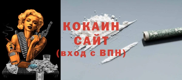 прущие грибы Верея