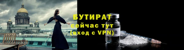 прущие грибы Верея