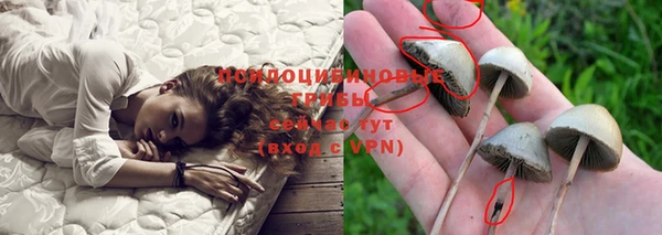 дживик Верхний Тагил