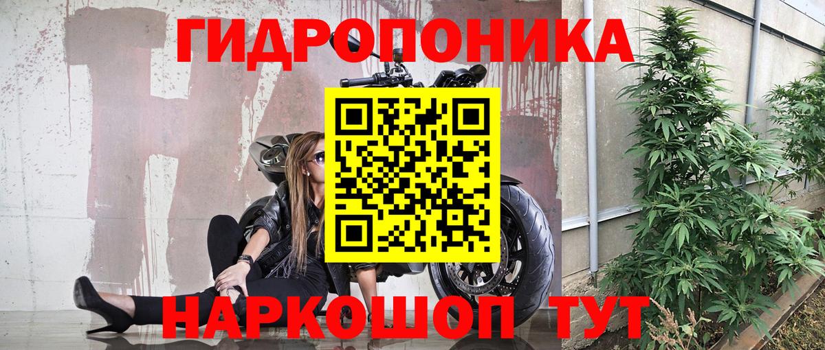 Городец  Марихуана планчик  Вход с VPN  Шишки марихуана Ganja  Бошки марихуана OG Kush 